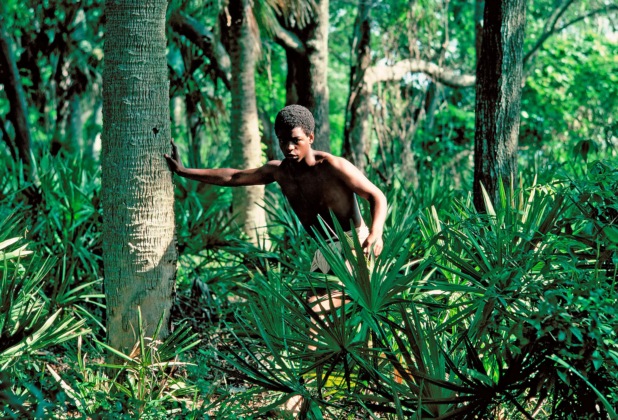 levar burton in a scene from roots