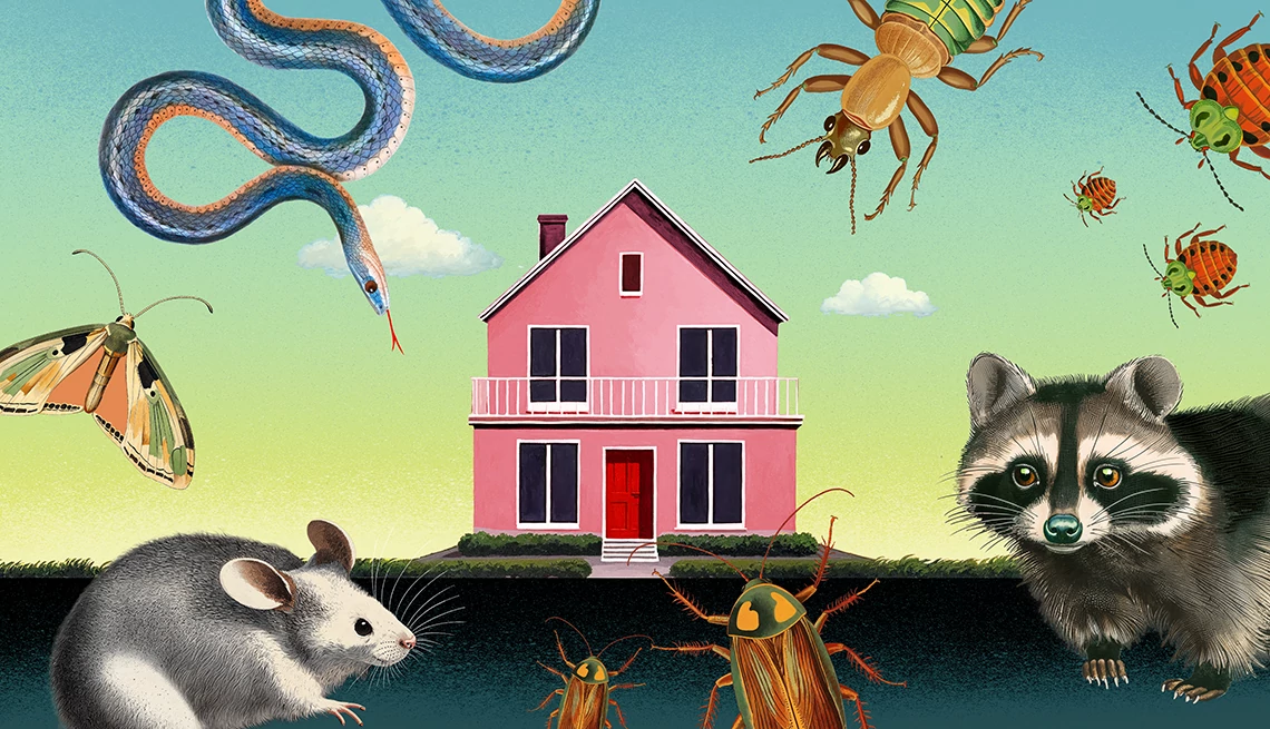 ilustración de una casa con un ratón, serpiente, mapache, polilla y chinches