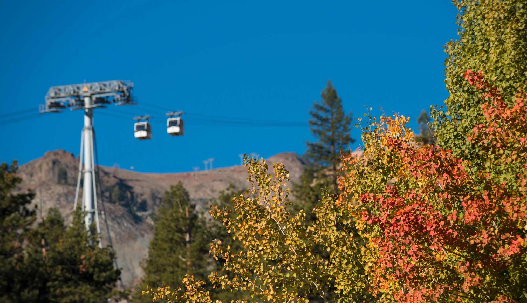 You can get a great view of fall leaves from an aerial tram ride at Palisades Tahoe a tram ride within Lake Tahoe, California