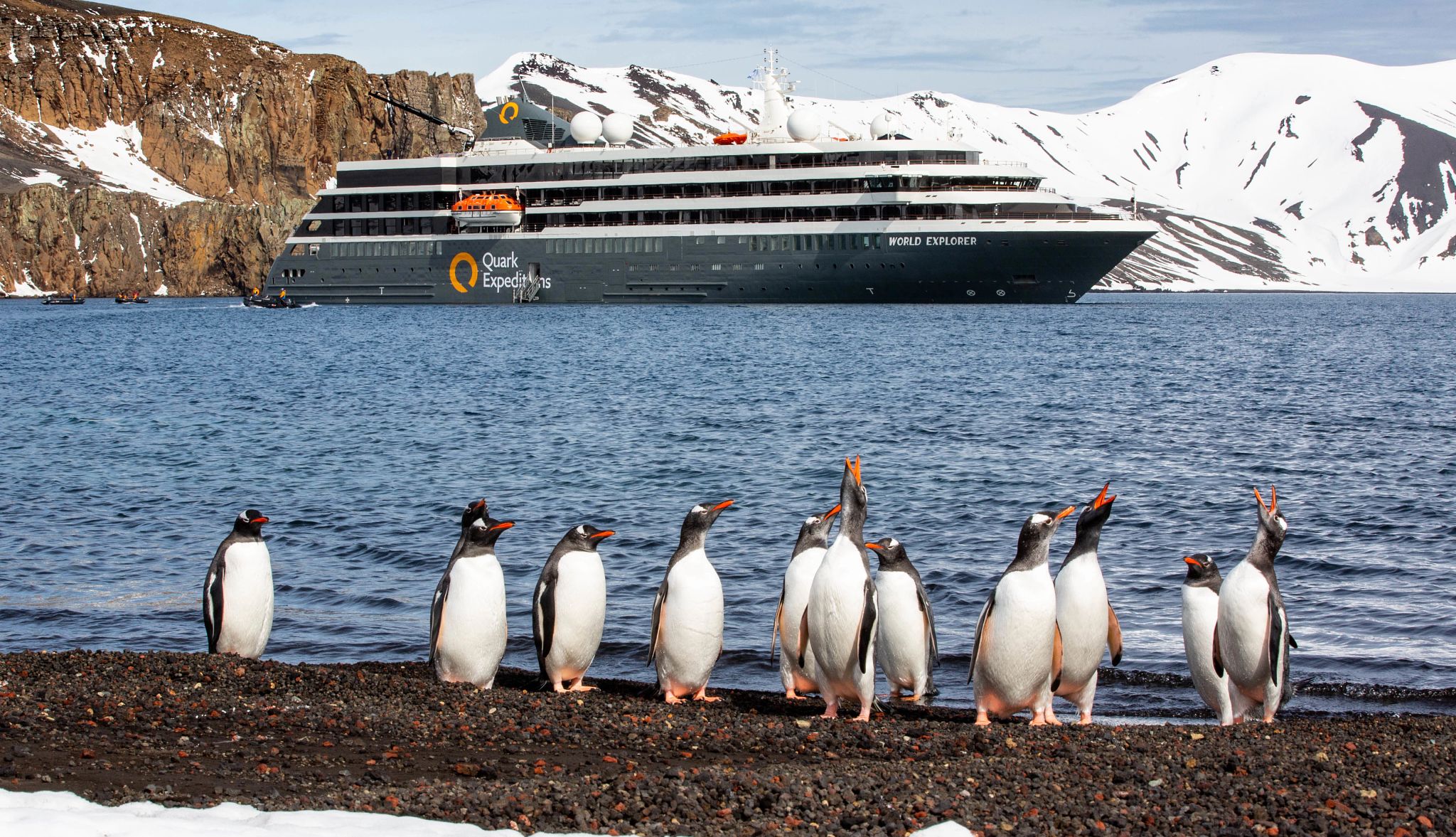 You can see penguins while on a cruise to Antartica penquins in the forefront with a cruise ship in the background