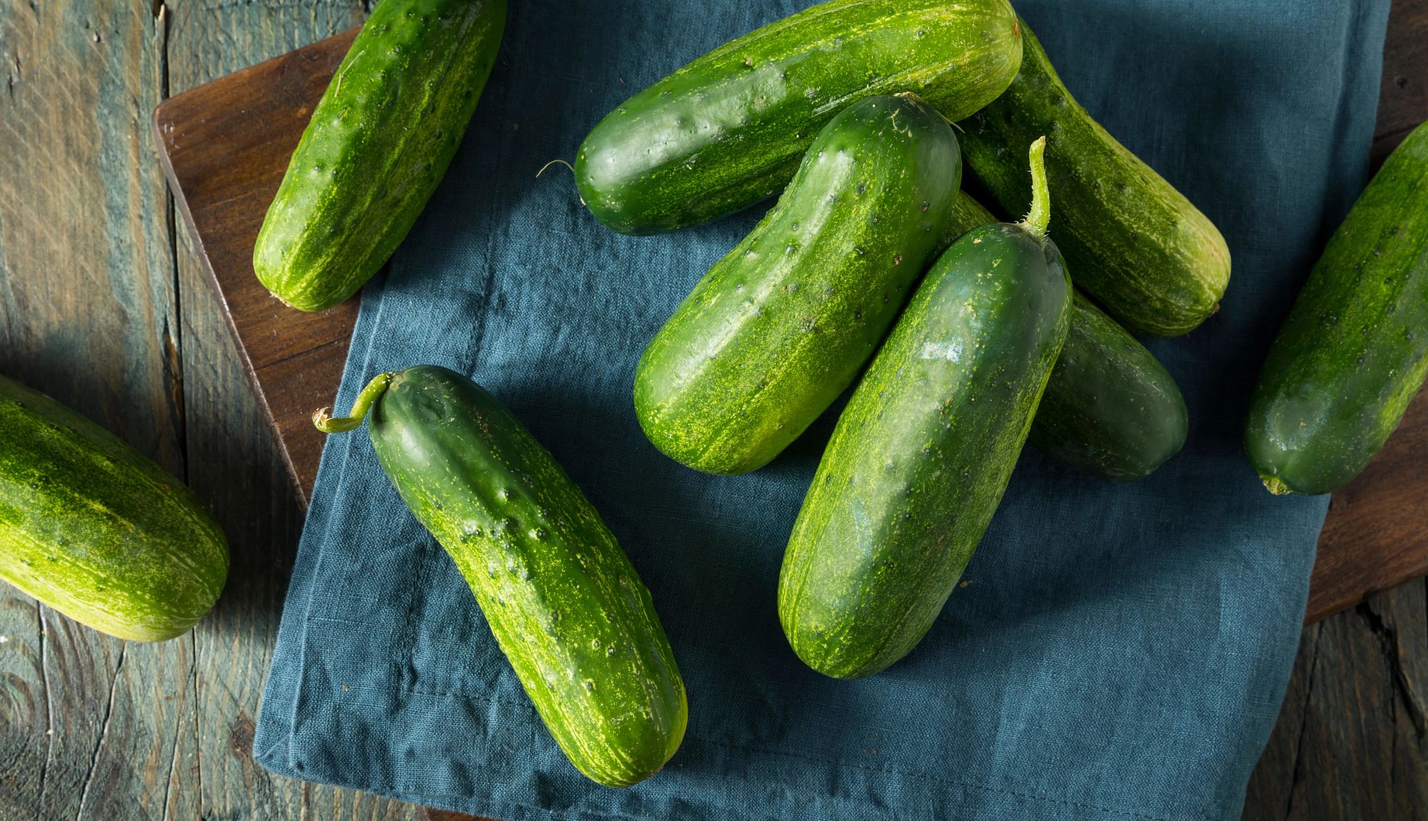 Assortment of Organic Pickle Cucumbers an assortment of organic unsliced pickle cucumbers on a blue napkin