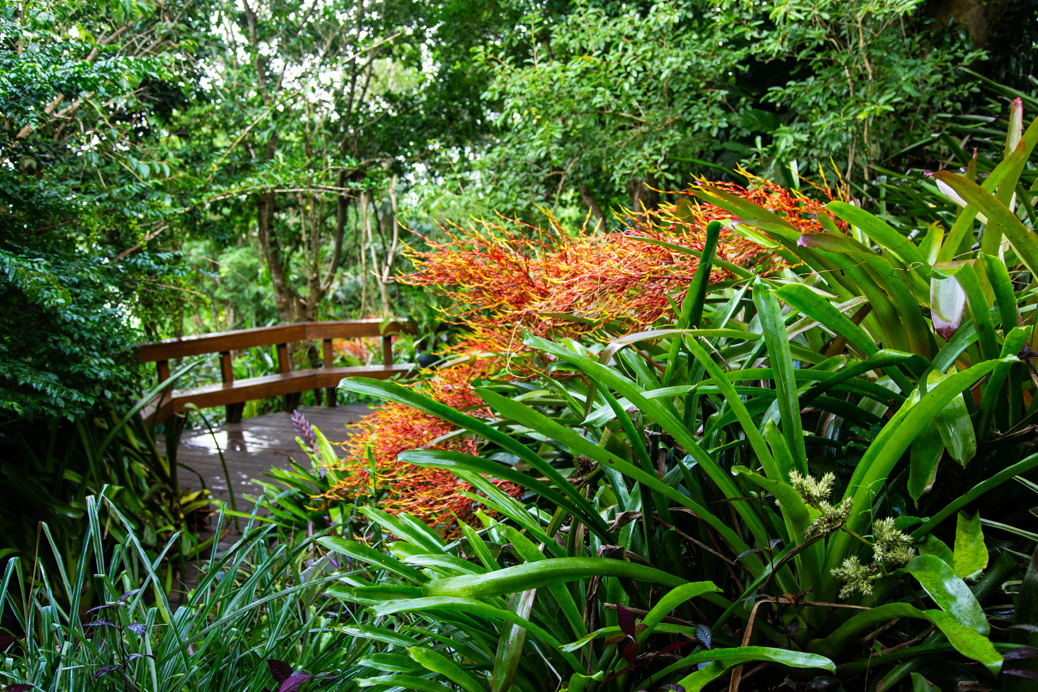 Phantasea Tropical Botanical Garden