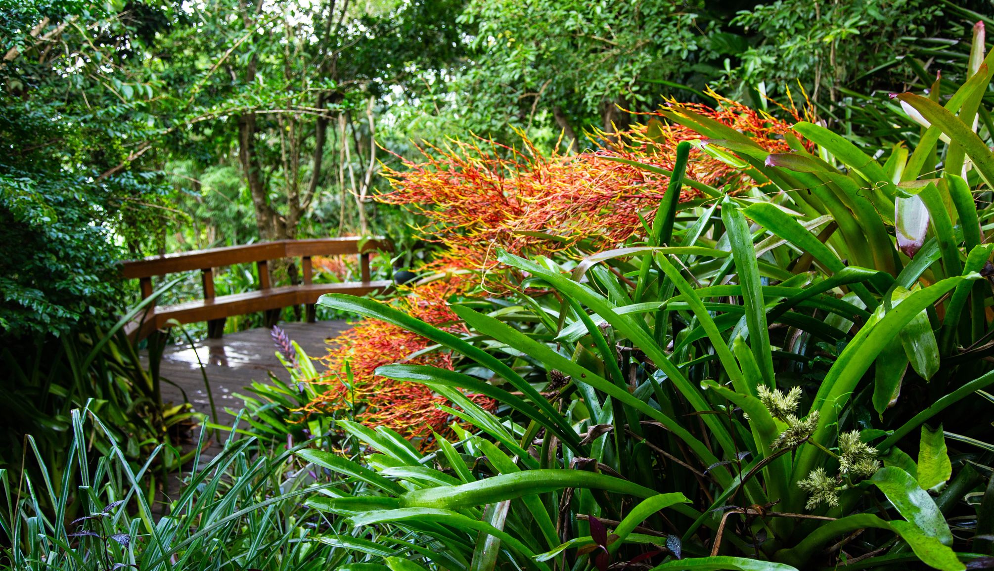 Botanical Gardens Phantasea Tropical Botanical Garden