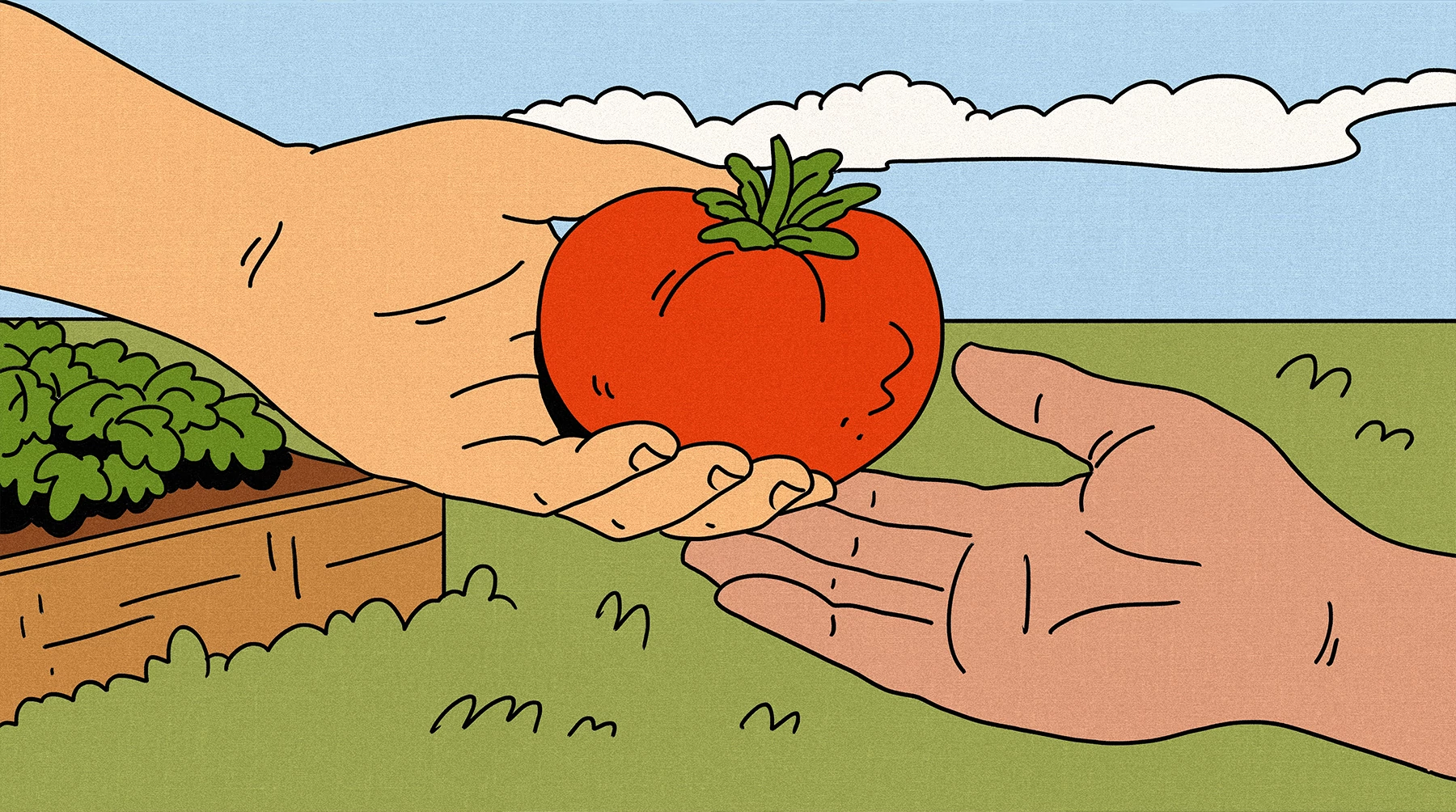 an illustration shows a tomato being handed off in an outdoor garden