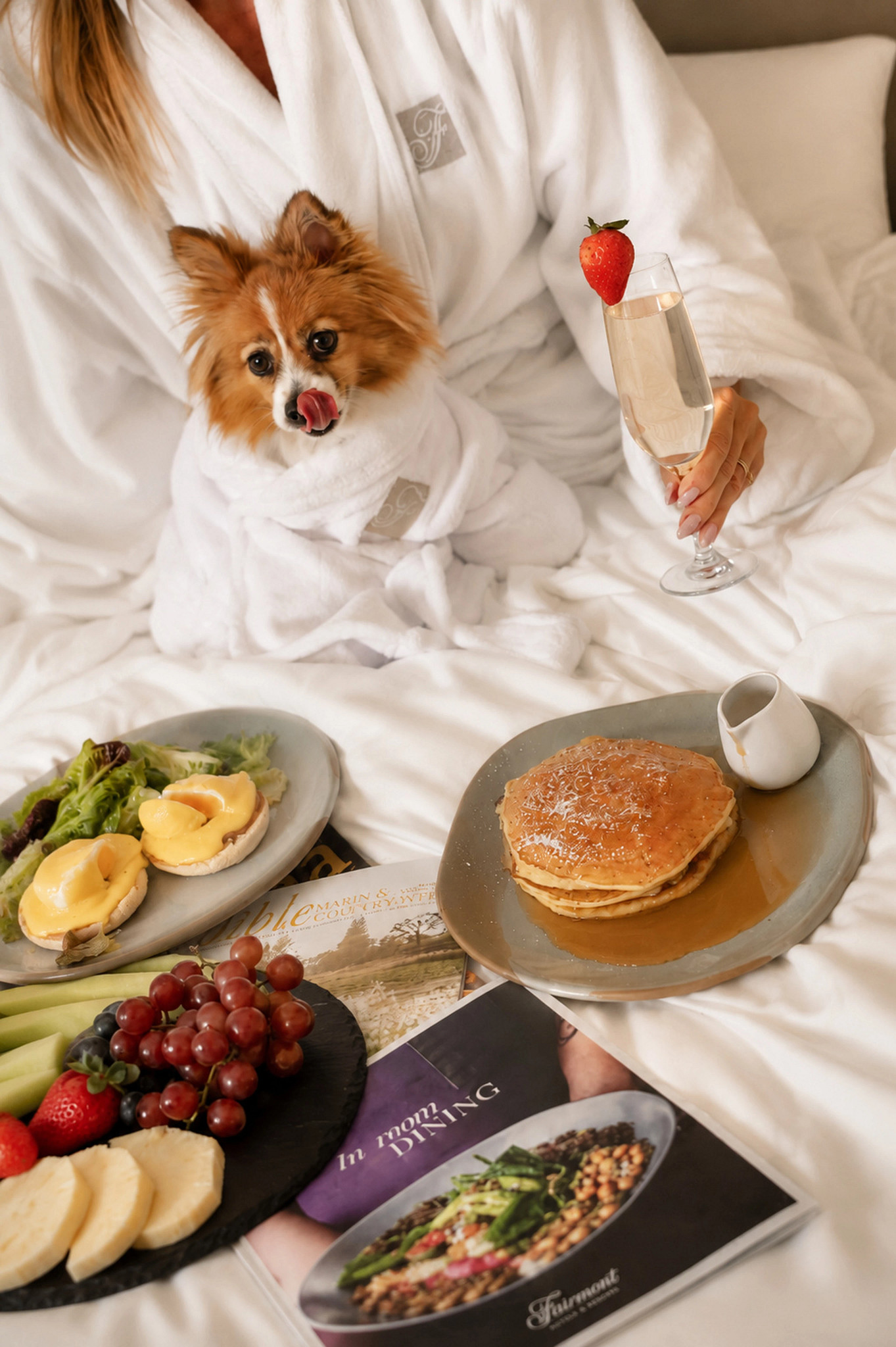 Small dog wearing a white robe on a bed with pancakes, fruit, eggs, and a sparkling beverage