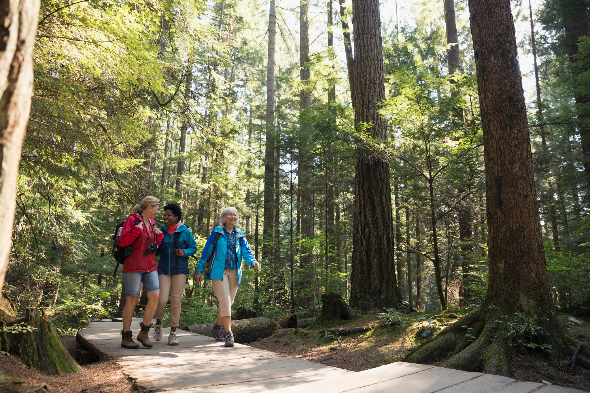 Women hiking on footbridge below trees in woods