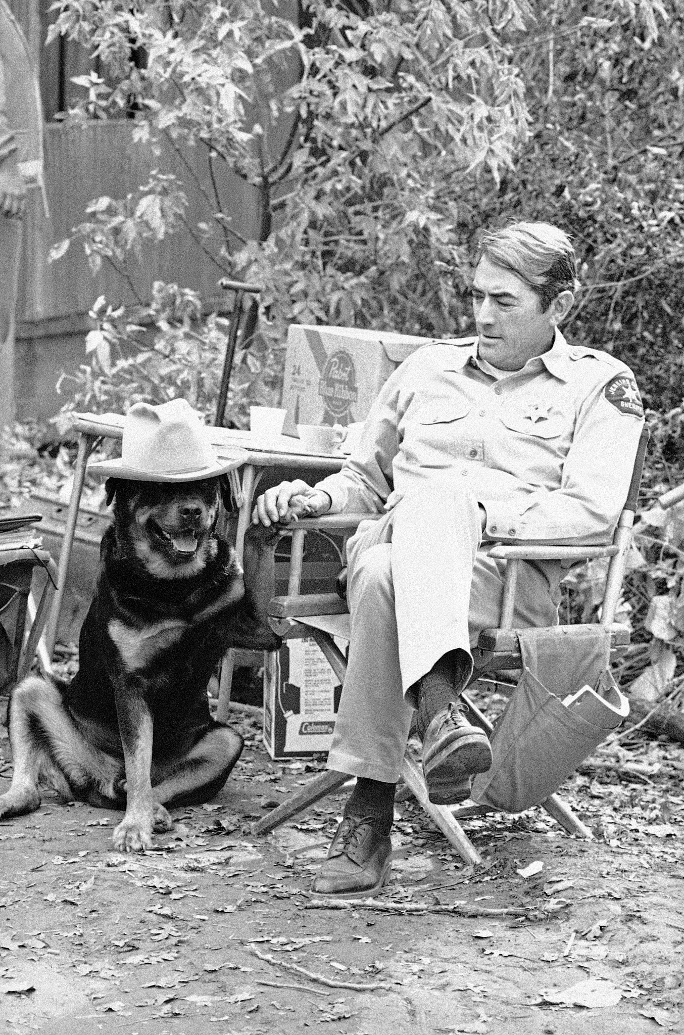 a photo shows Gregory Peck and trained movie dog Rote on the set of I walk the line in 1970