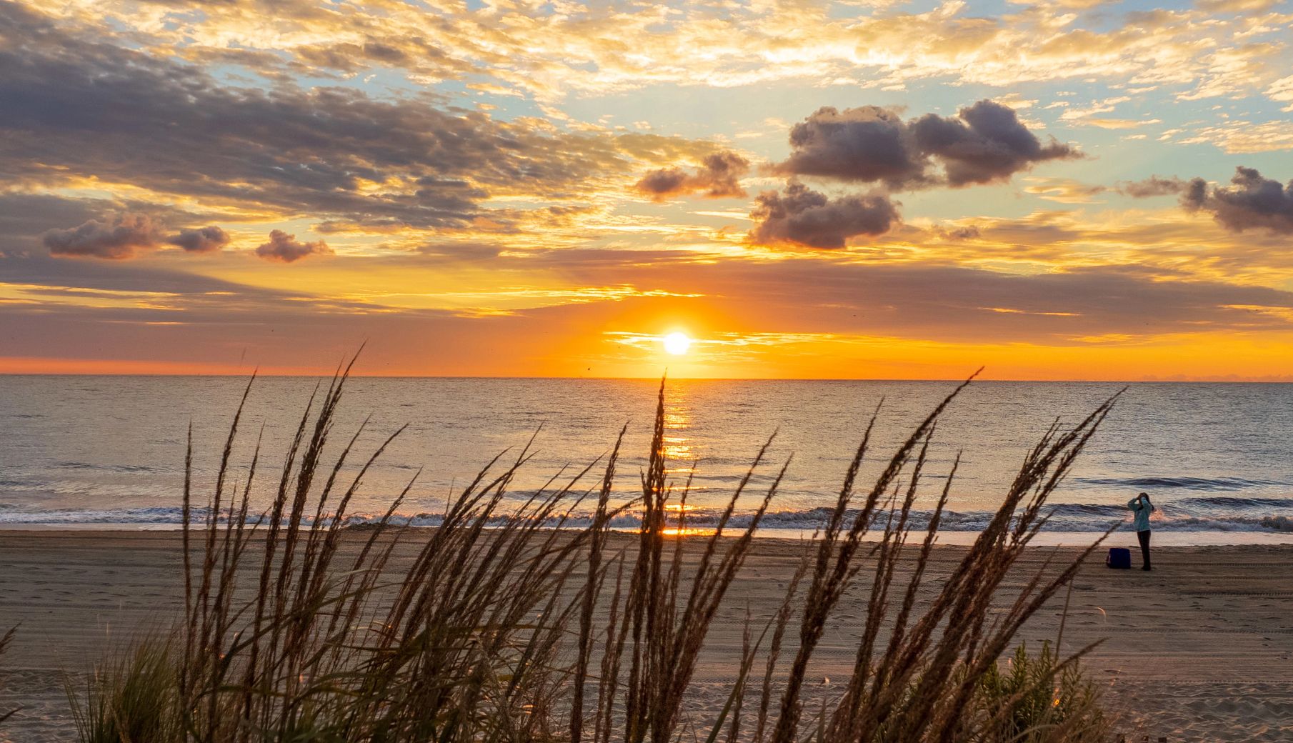 Beach Towns for Fall Getaways dune grass in the foreground with a person on a beach