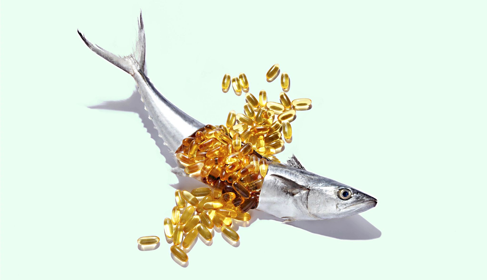 Fish Oil Supplements A fresh fish is cut open to reveal its main asset: Omega Fatty Acids.