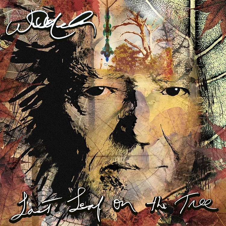 The album cover for Last Leaf on the Tree by Willie Nelson
