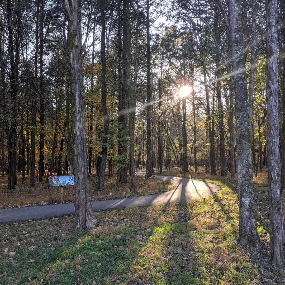 Image of walking trail