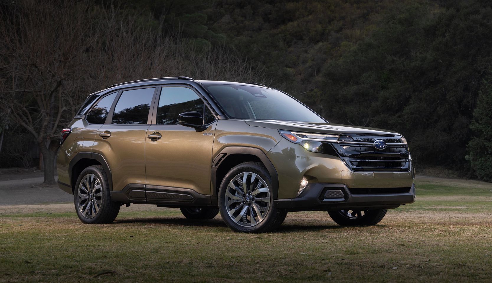 10 Top Vehicles for 2025 Subaru