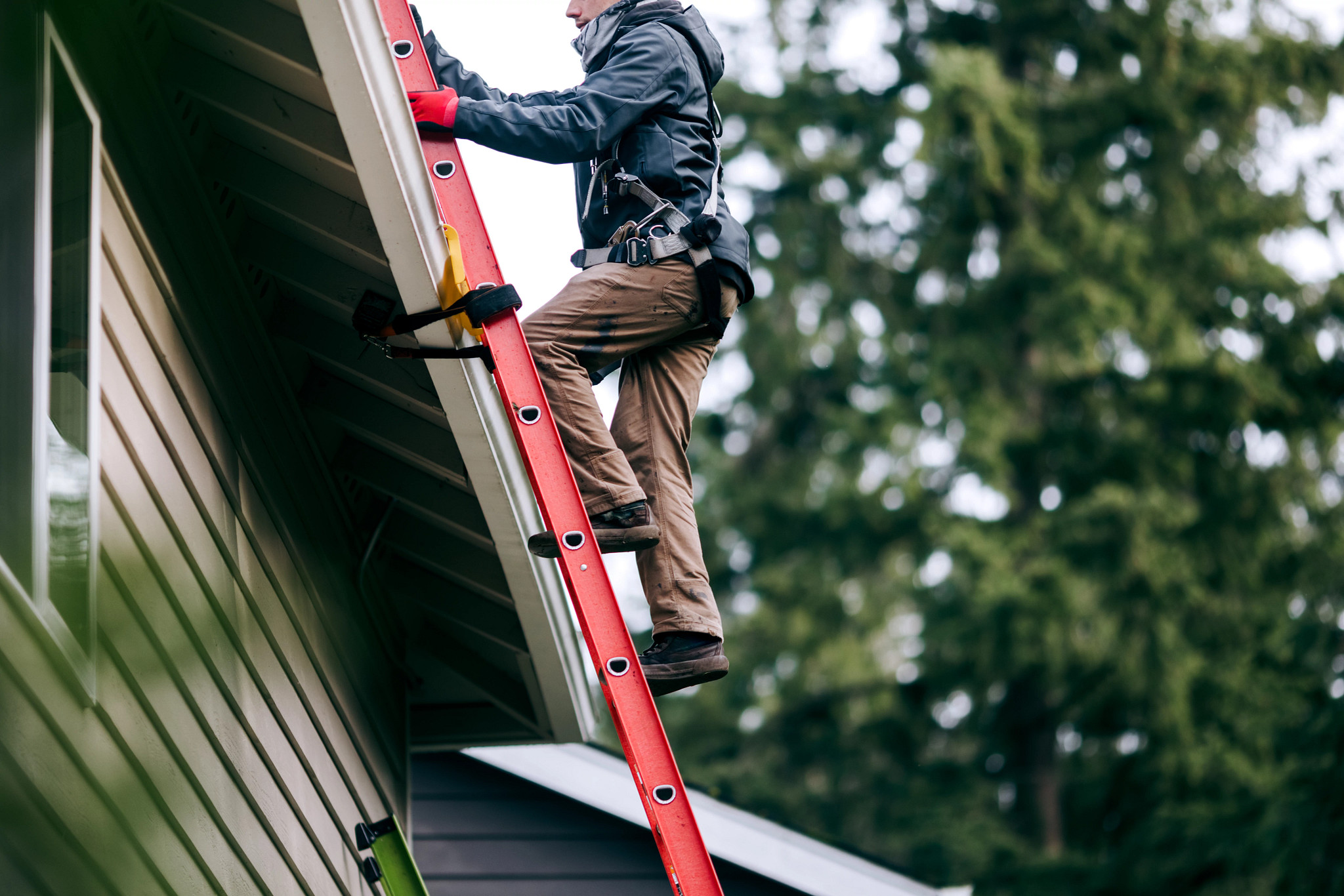 A Hispanic Solar energy installer climbing up a secured ladder to the roof of the home they are installing a solar panel array onto.