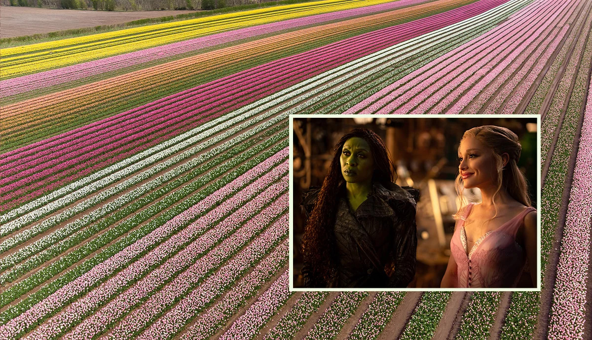 An image of “Wicked: For Good” stars overlaid on a shot of a flower field in england