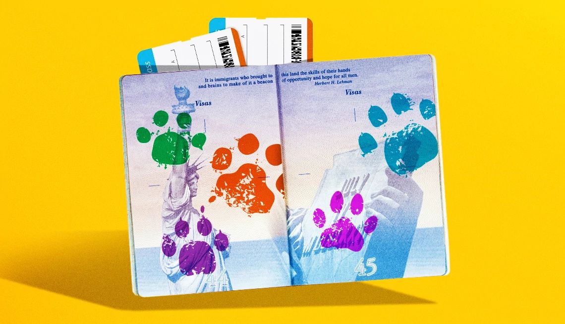 AARP Smart Guide to Traveling With Pets
