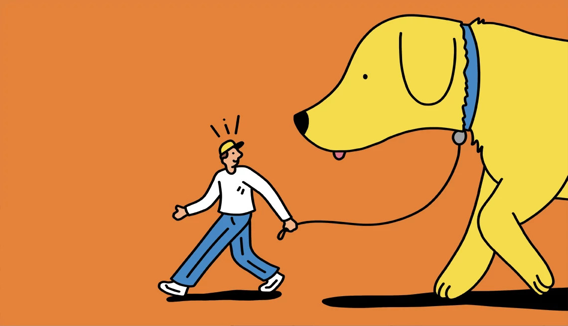 a person walking a large yellow dog