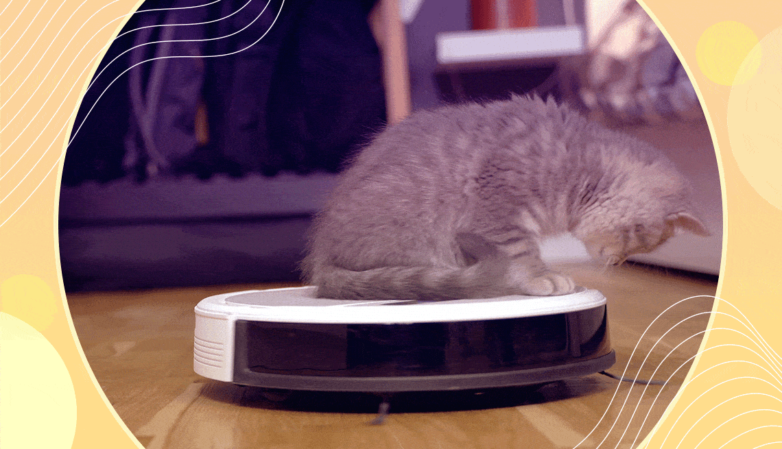 a cat sits on top of a spinning robot vacuum
