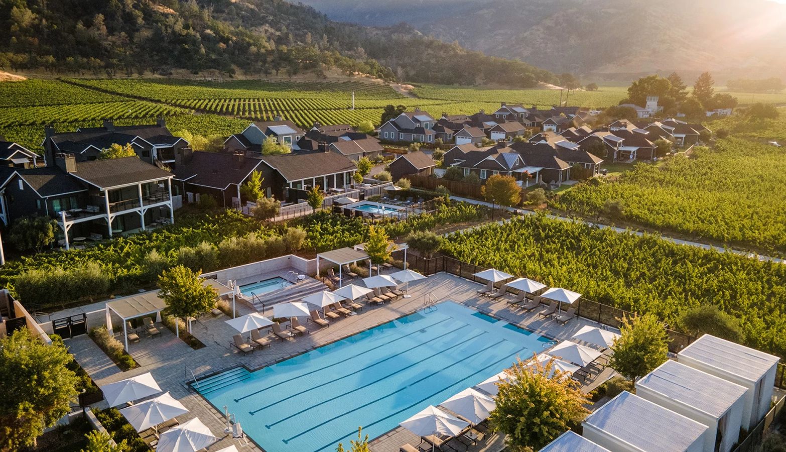 A Local’s Guide to Napa and Sonoma Wine Country The Poolside Escape Experience