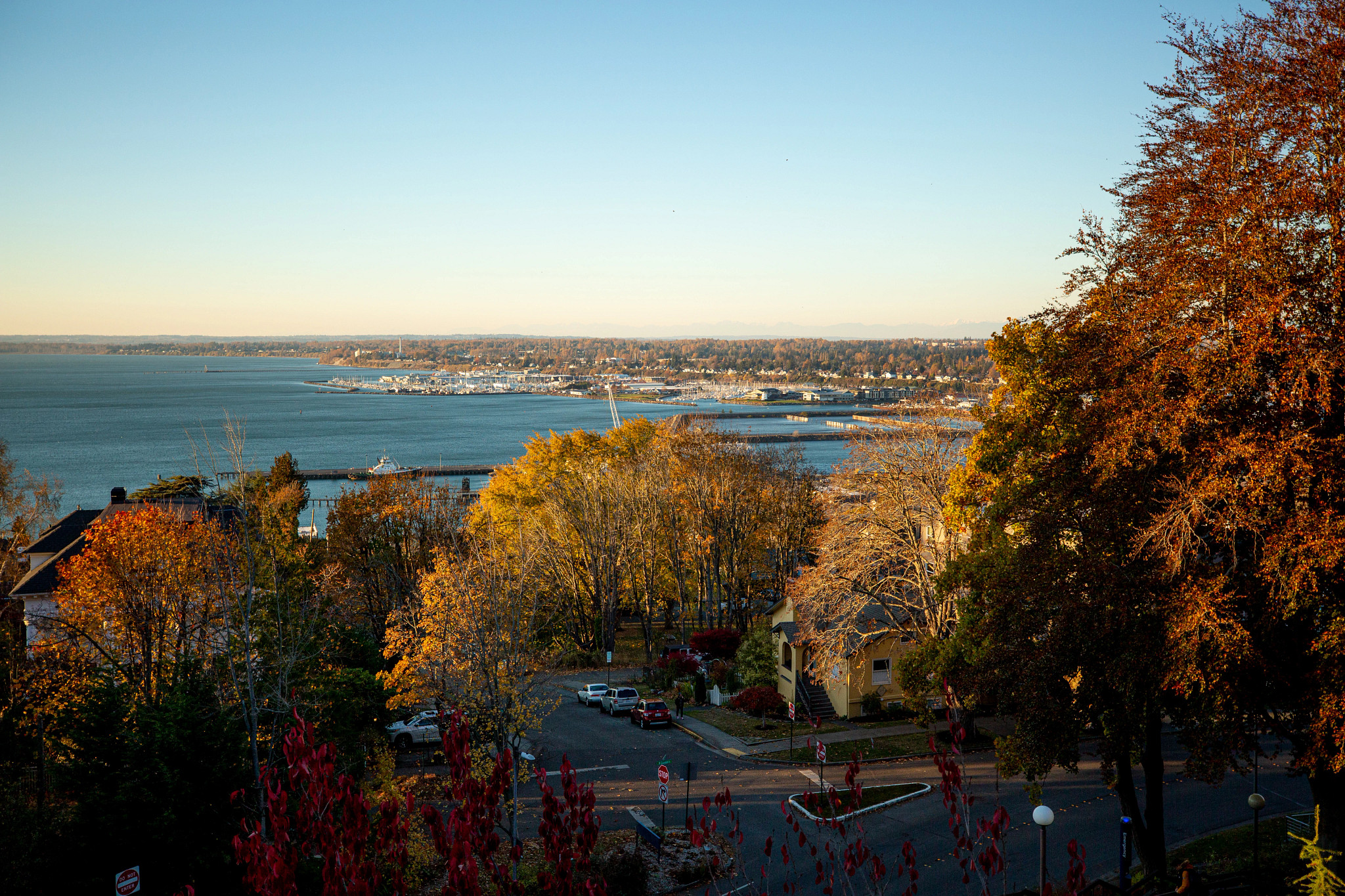an aerial view of Bellingham, Washington