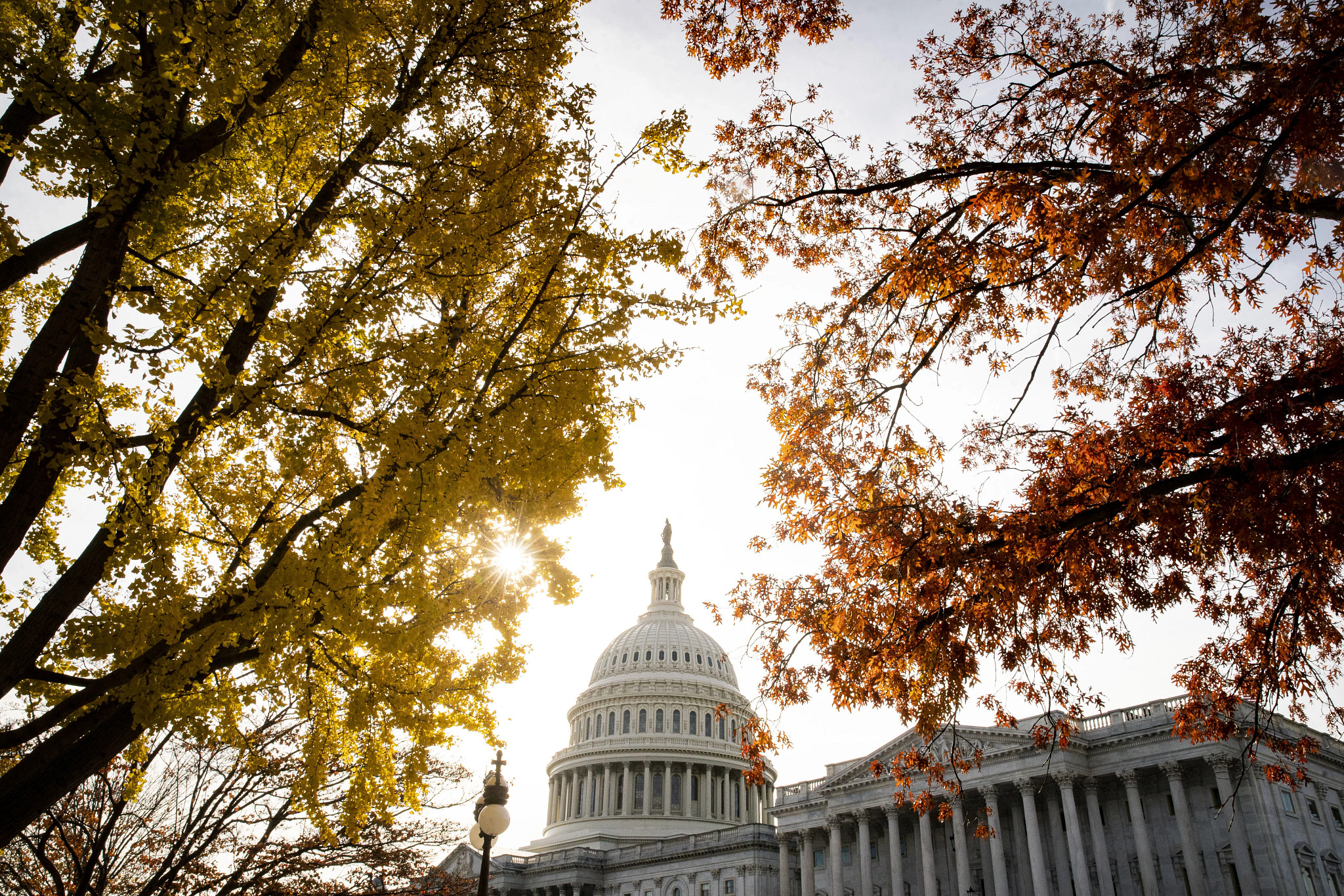 The U.S. Capitol, seen through autumn leaves, in Washington, D.C.