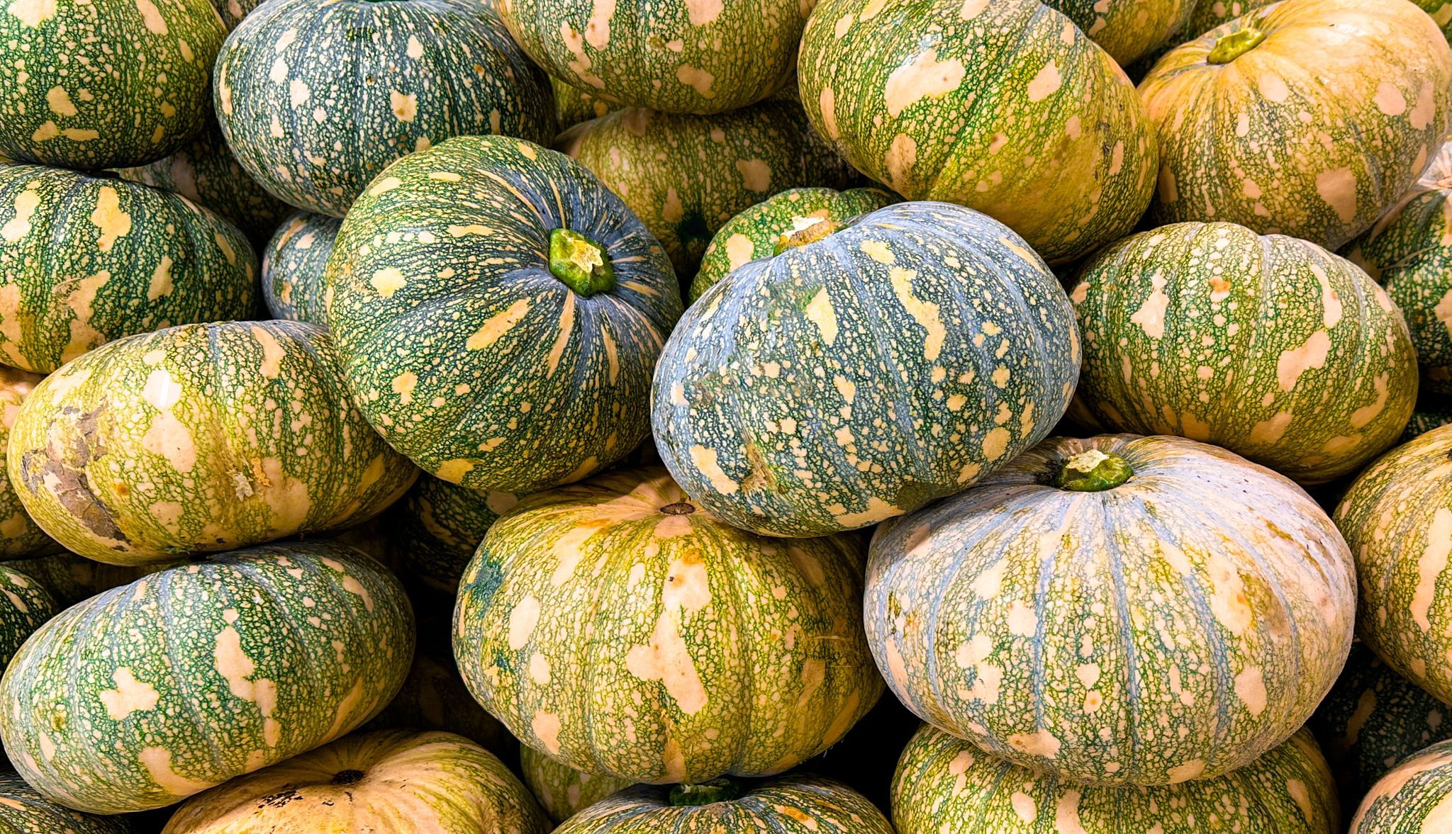 Healthy Fall Foods squash