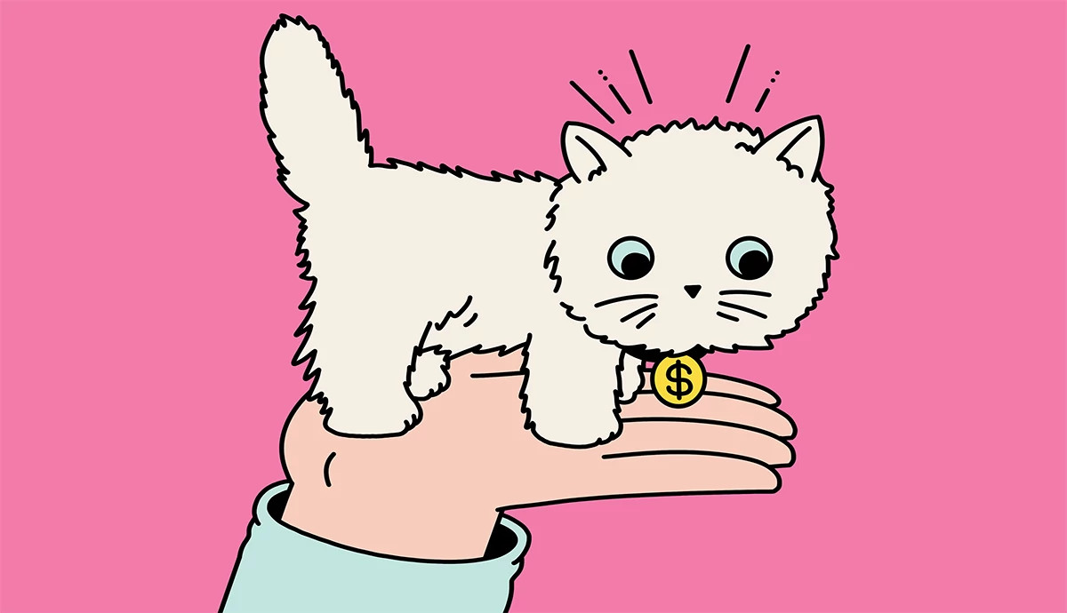 a hand holds a white cat with a dollar sign collar tag