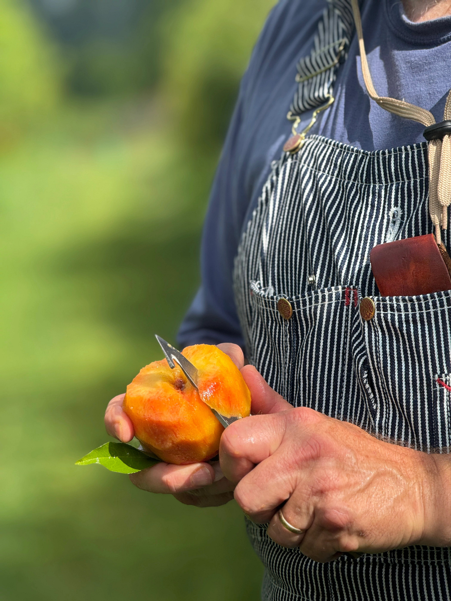 a closeup of a person using a knife to cut a peach