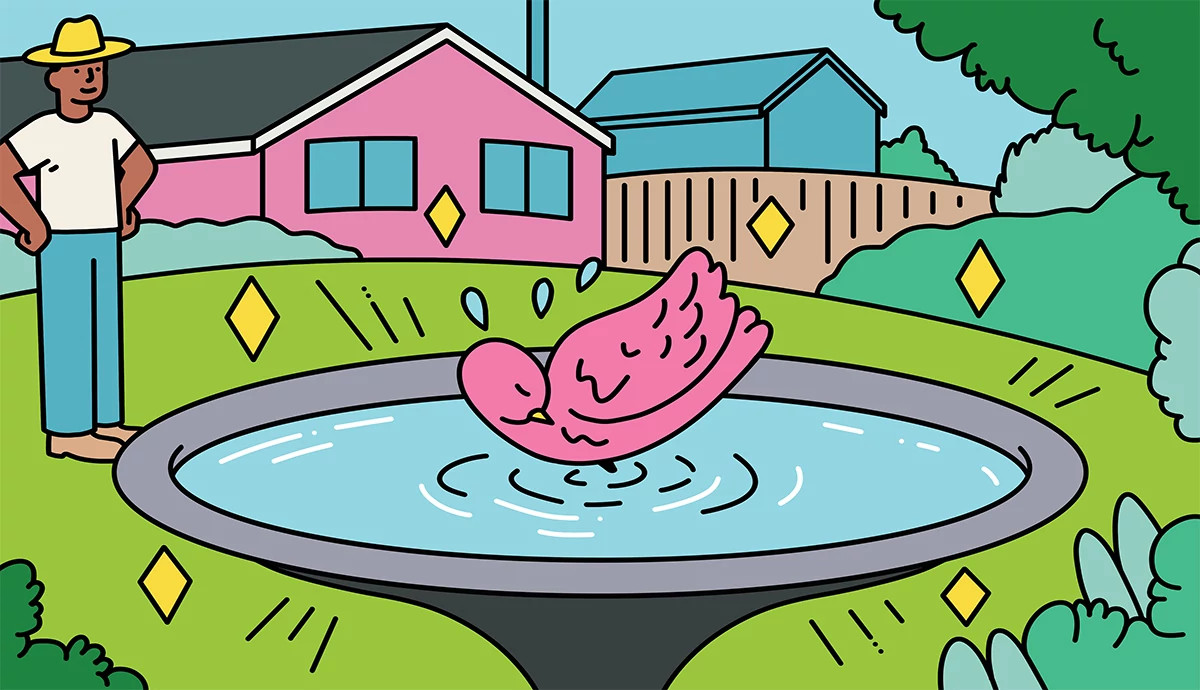 an illustration shows a bird taking a bath in a vinegar-water solution