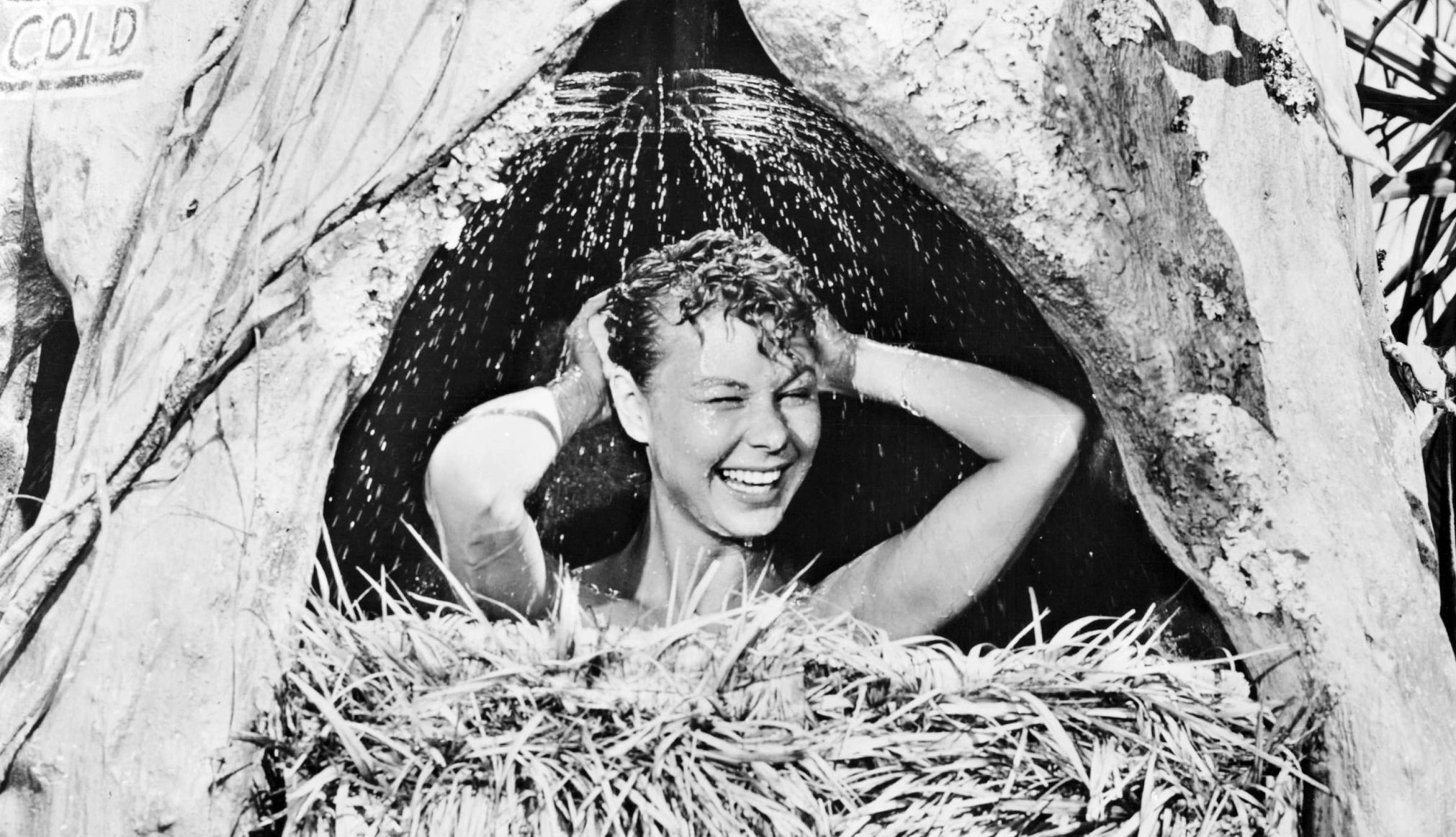 mitzi gaynor in a movie mitzi gaynor in a movie