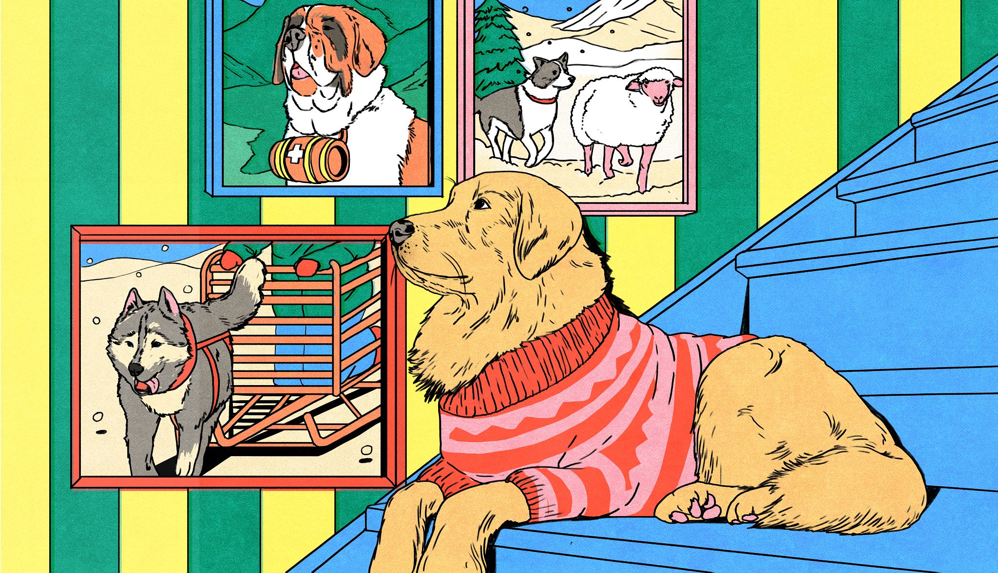 sayings about animals a dog in a sweater surrounded by portraits of dogs
