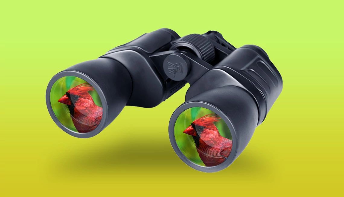 feature-image