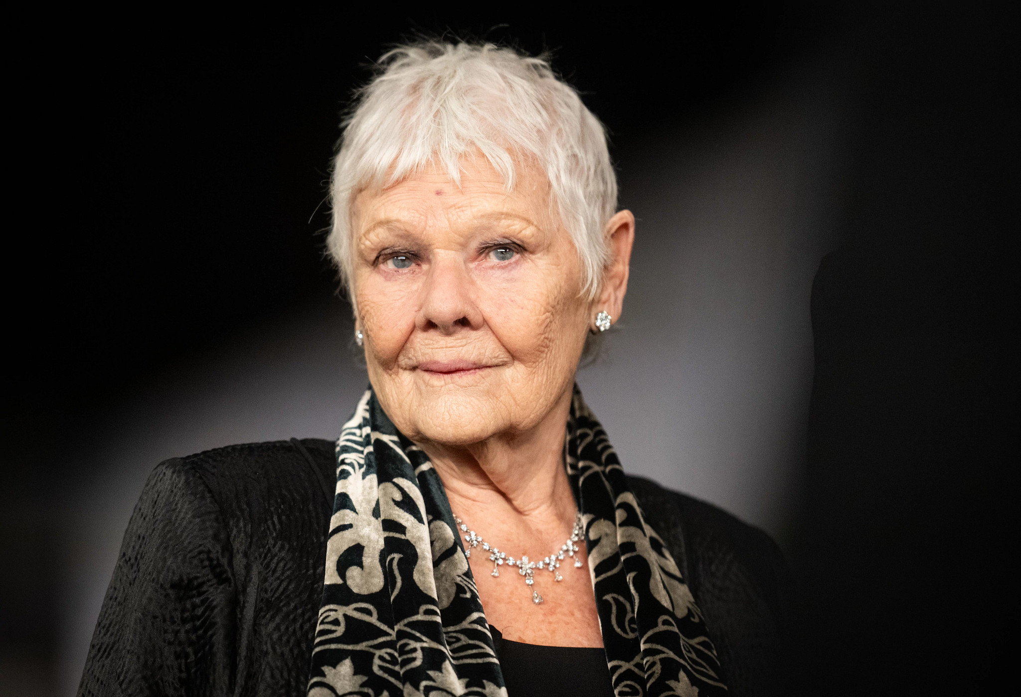 a portrait of judi dench