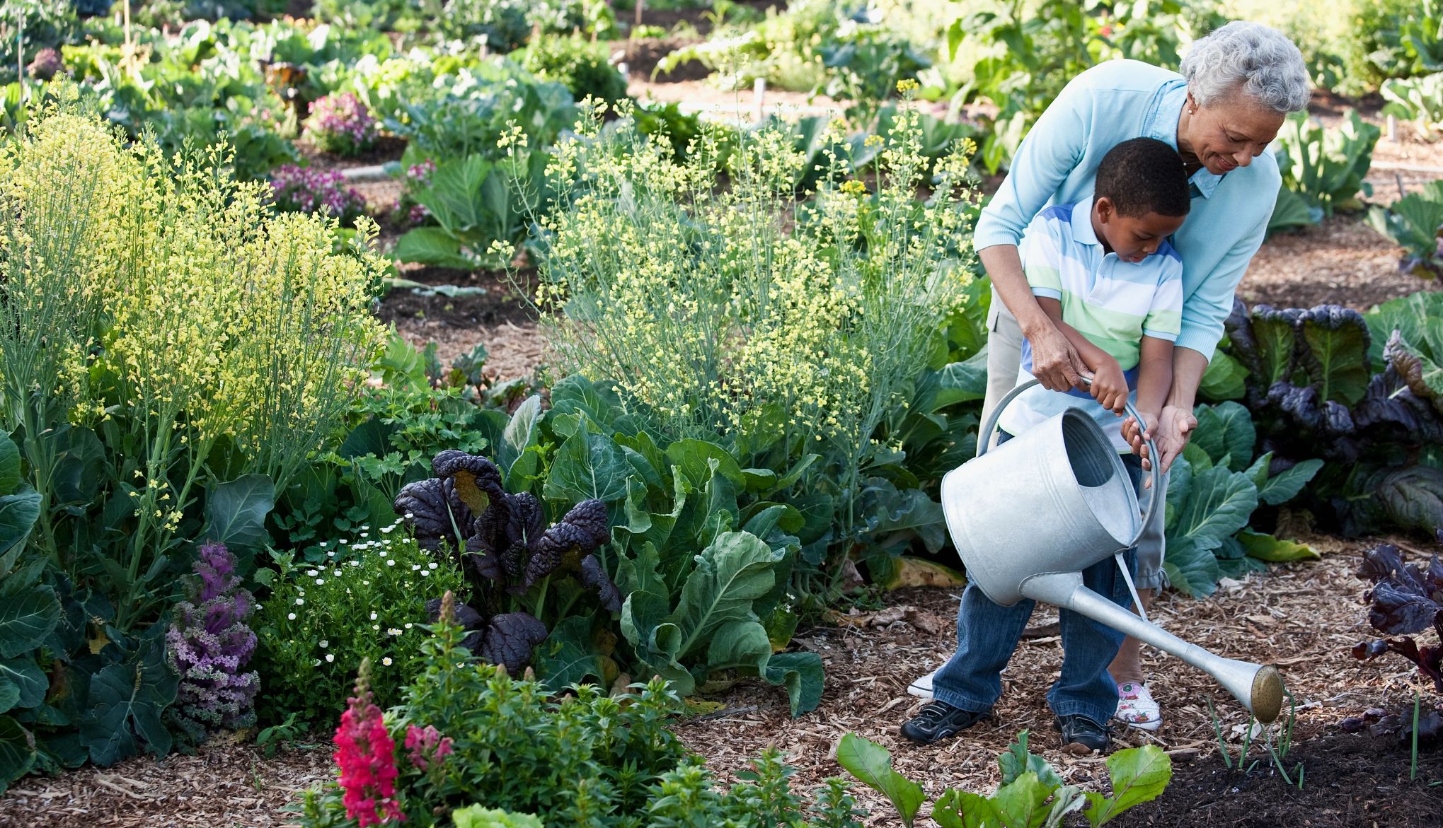 Grandparents can help teach their grandkids how to garden grandson helping his grandmother water the garden