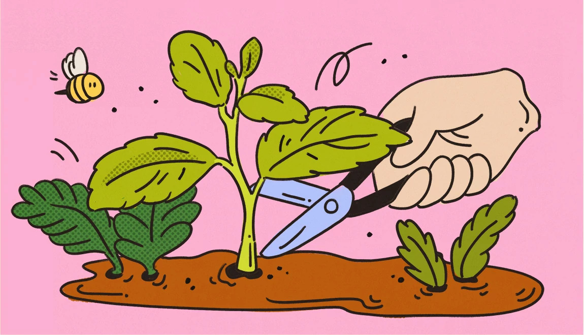 An illustration shows a disembodied hand tending to greens in a garden