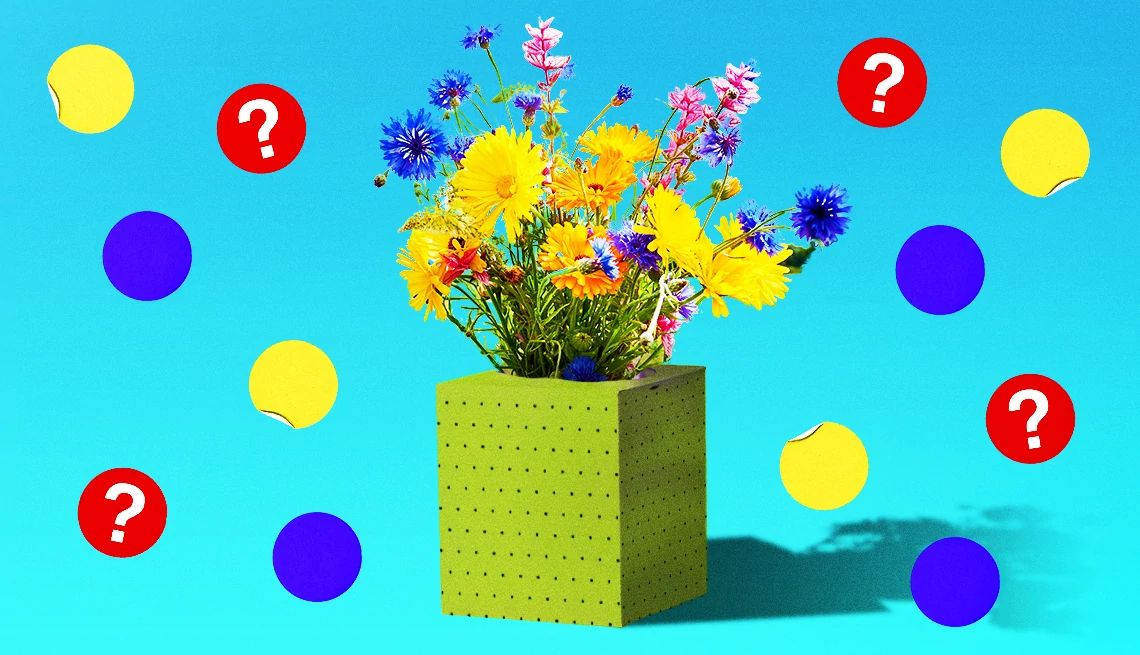Seasonal Allergy Quiz Yellow, blue and pink flowers sticking out of flower box