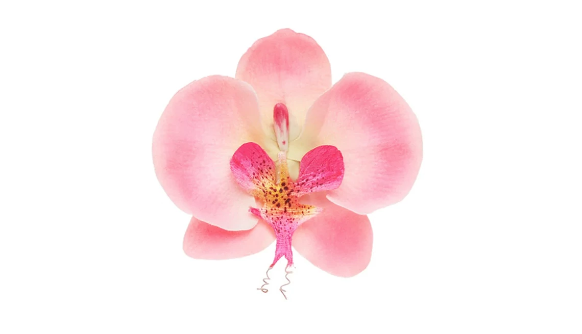 pink orchid clip