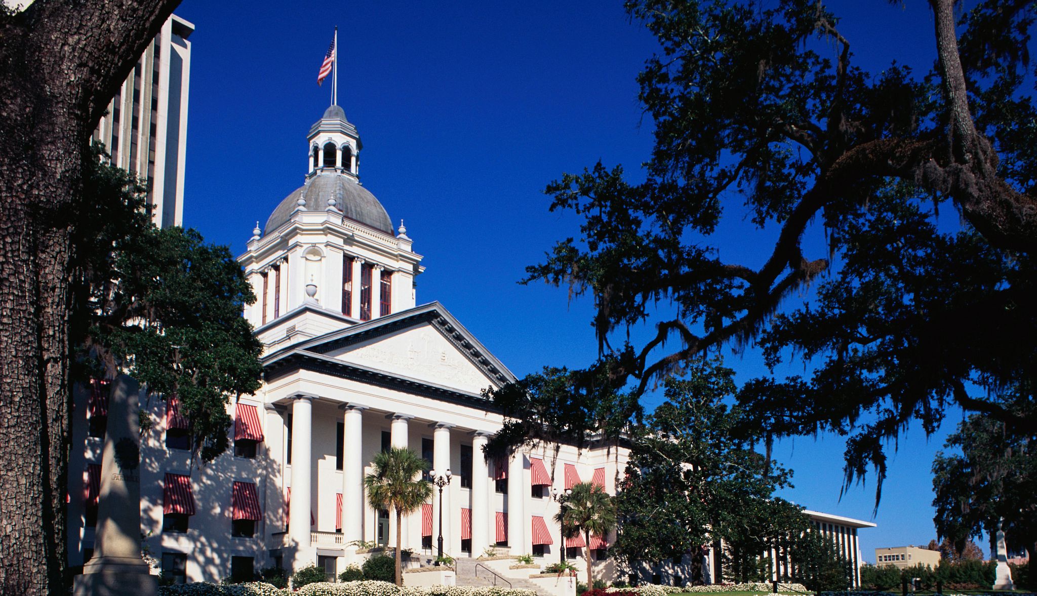 Nick Primrose Joins Jones Walker to Bolster Florida Advocacy