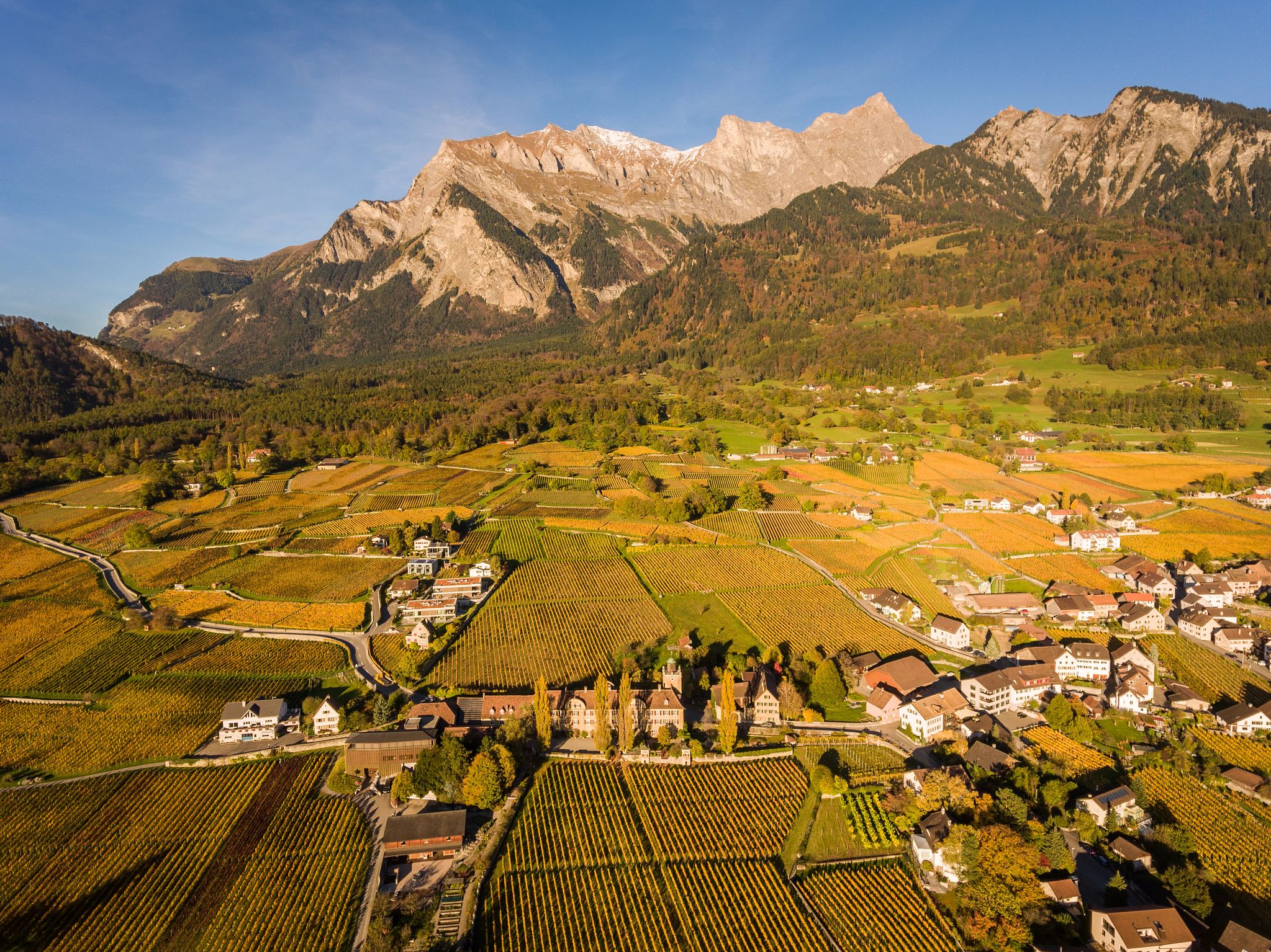 European Storybook Vacations fields and houses in the foreground with the swiss alps in the background