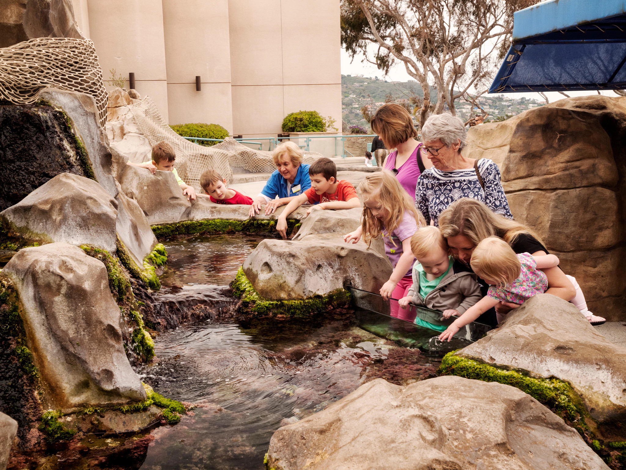 Exploración de una exhibición de poza de marea en el Acuario Birch