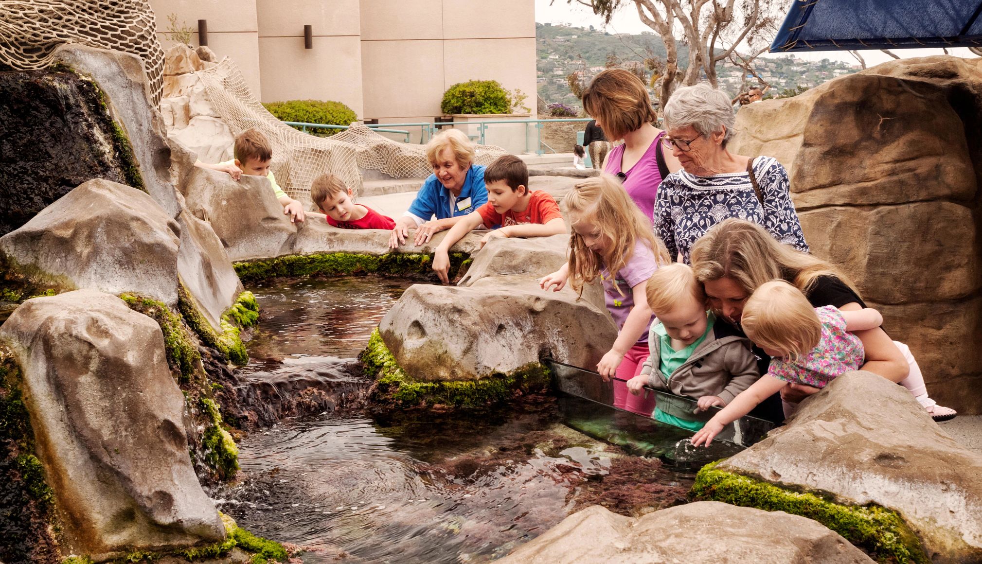 The Birch Aquarium has plenty of activities for young kids Exploring a tide pool exhibit at Birch Aquarium
