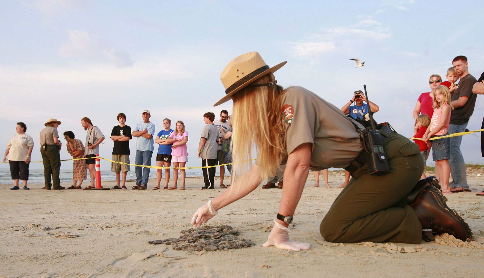 Bucket List Beach Experiences a national park service employee release sea turtles on a beach in front of a crowd