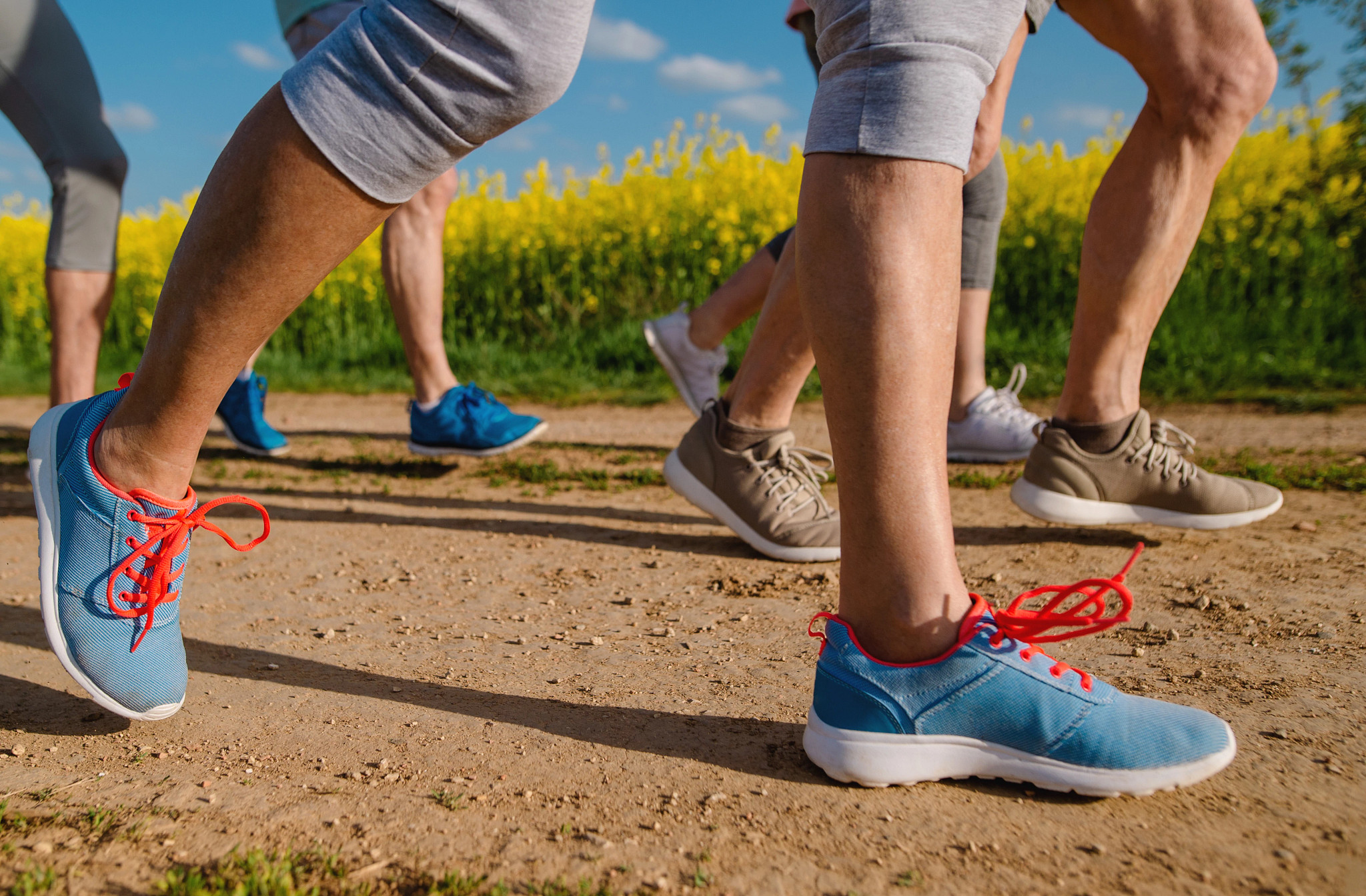 Close-up of several people walking outdoors on a dirt path next to a field of yellow flowers.