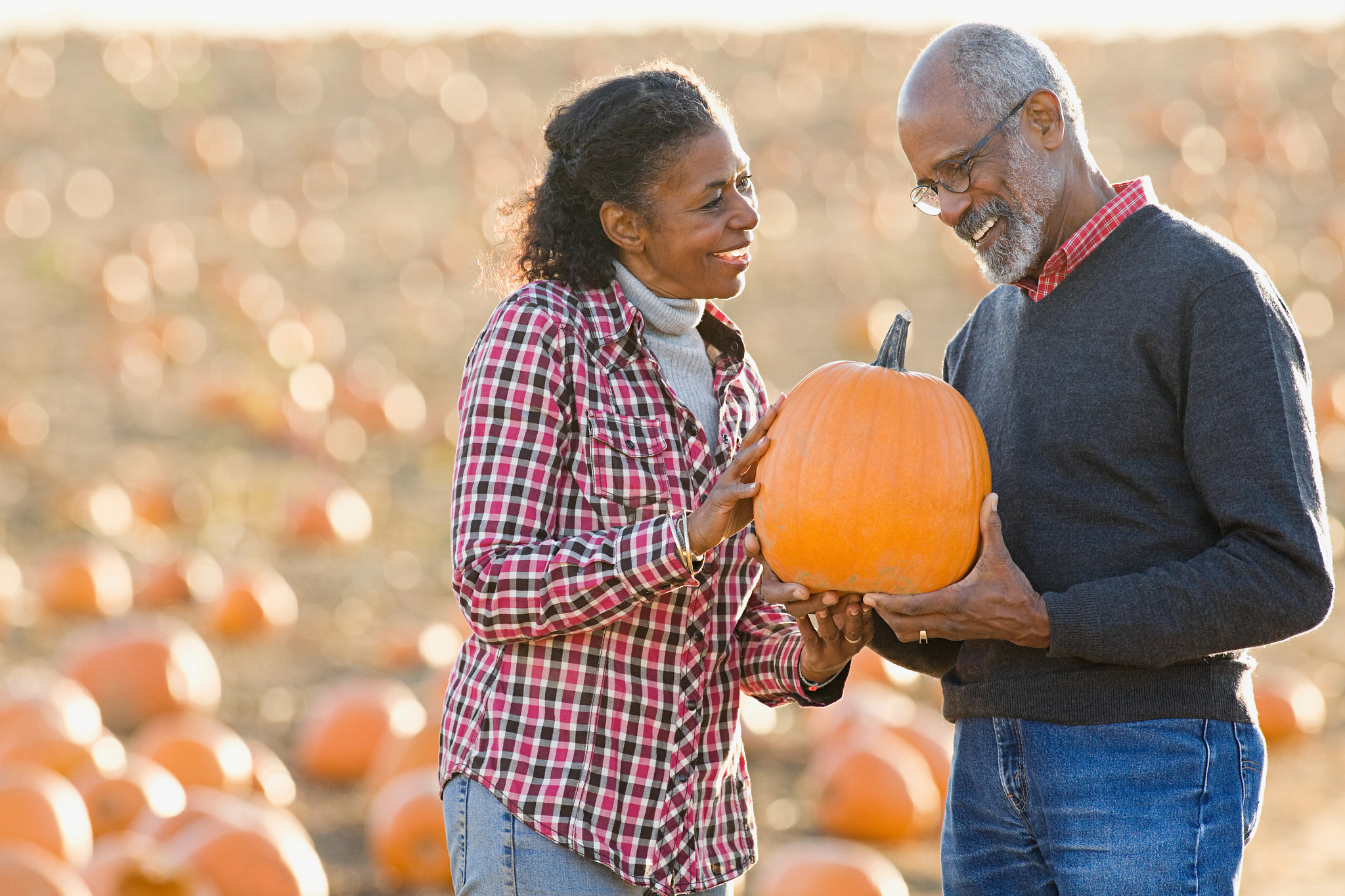 A senior couple holding a pumpkin