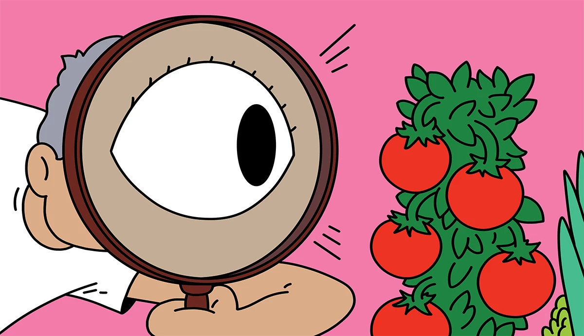 an illustration shows a man looking through a magnifying glass to examine his vegetable garden