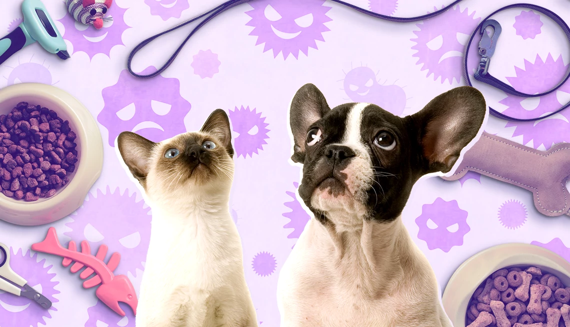 pet items you need to clean a dog and a cat with various pet items
