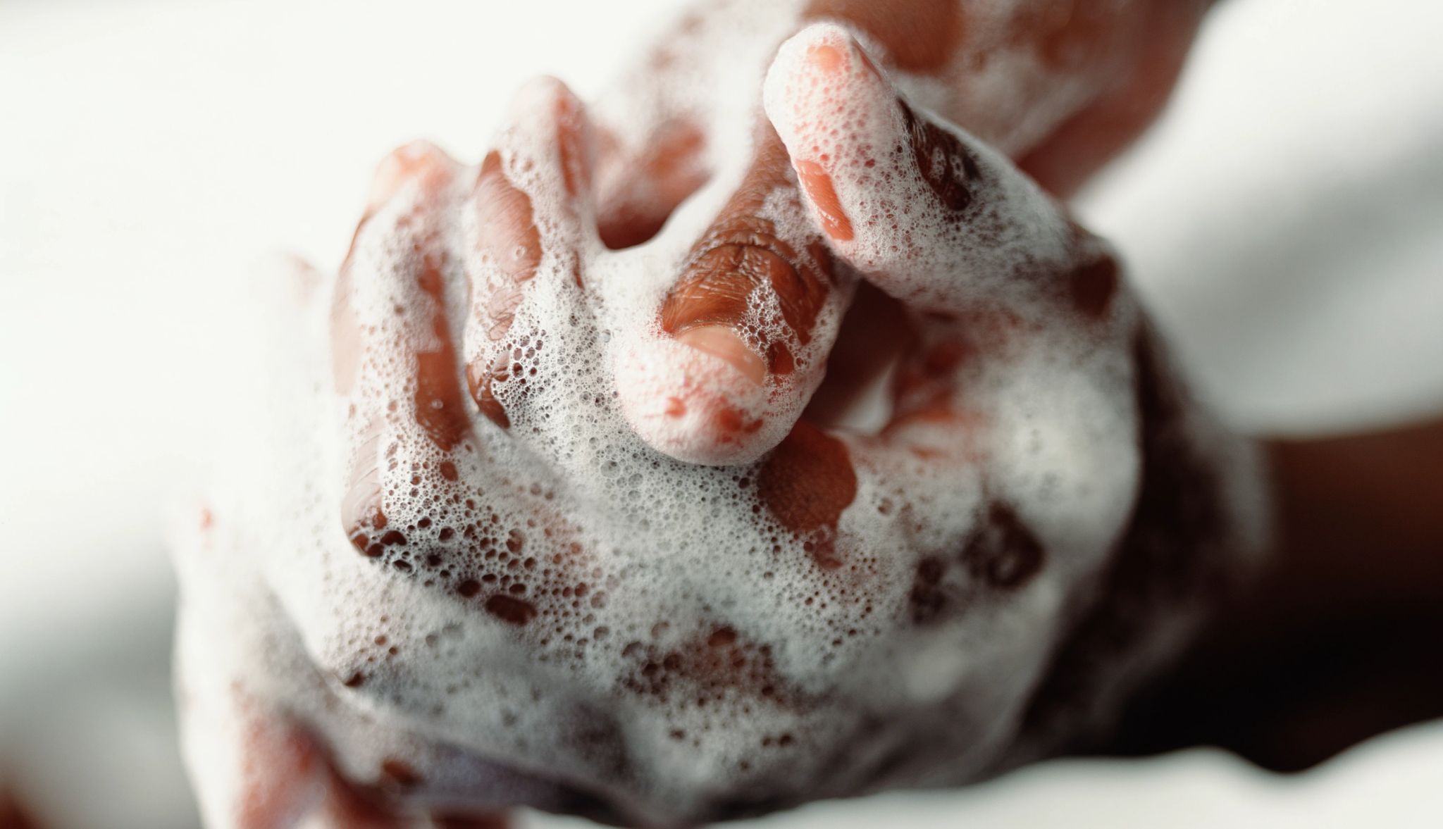 Food Safety Guide washing hands