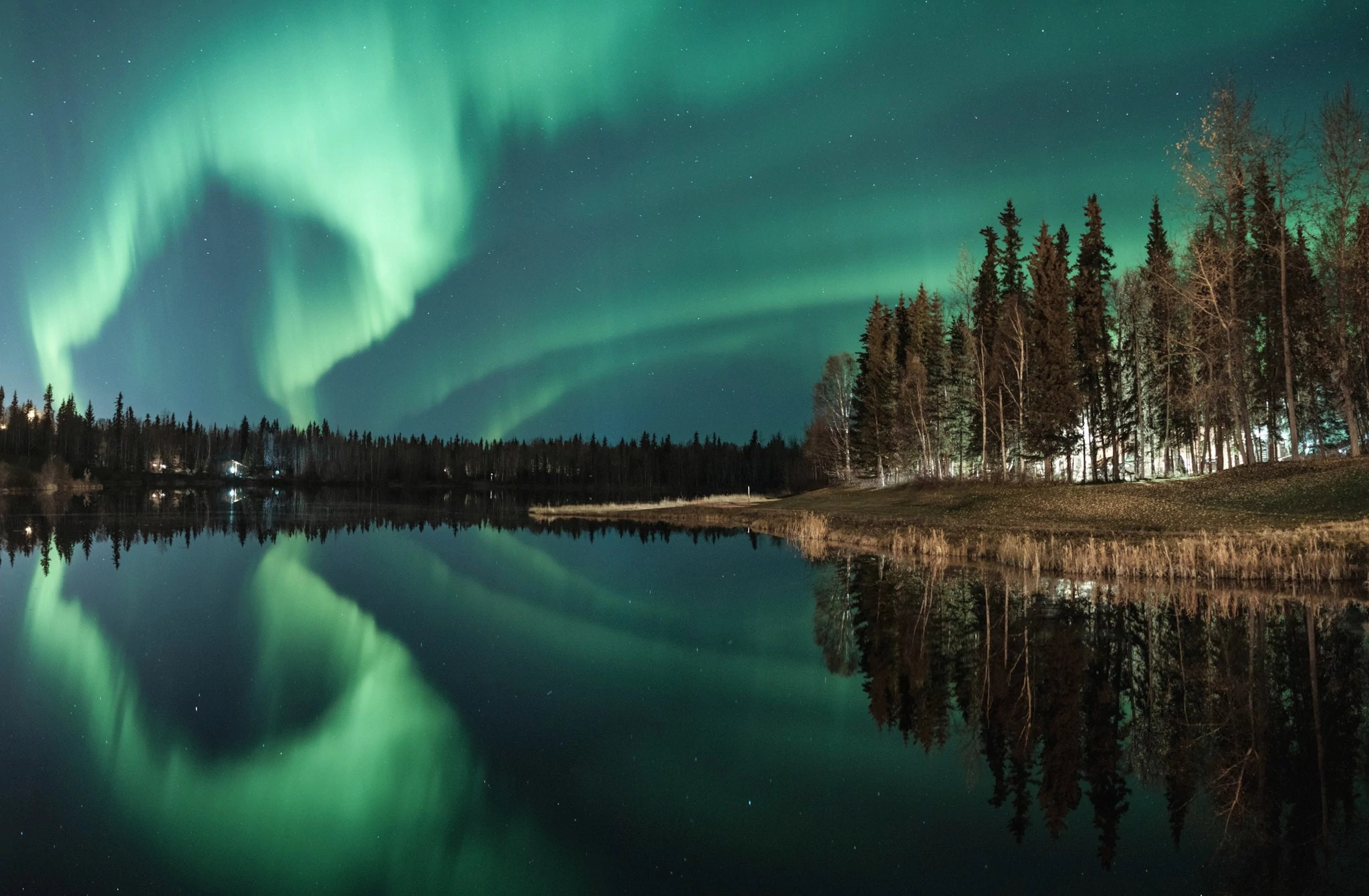 the northern lights reflecting off a body of water near a forst