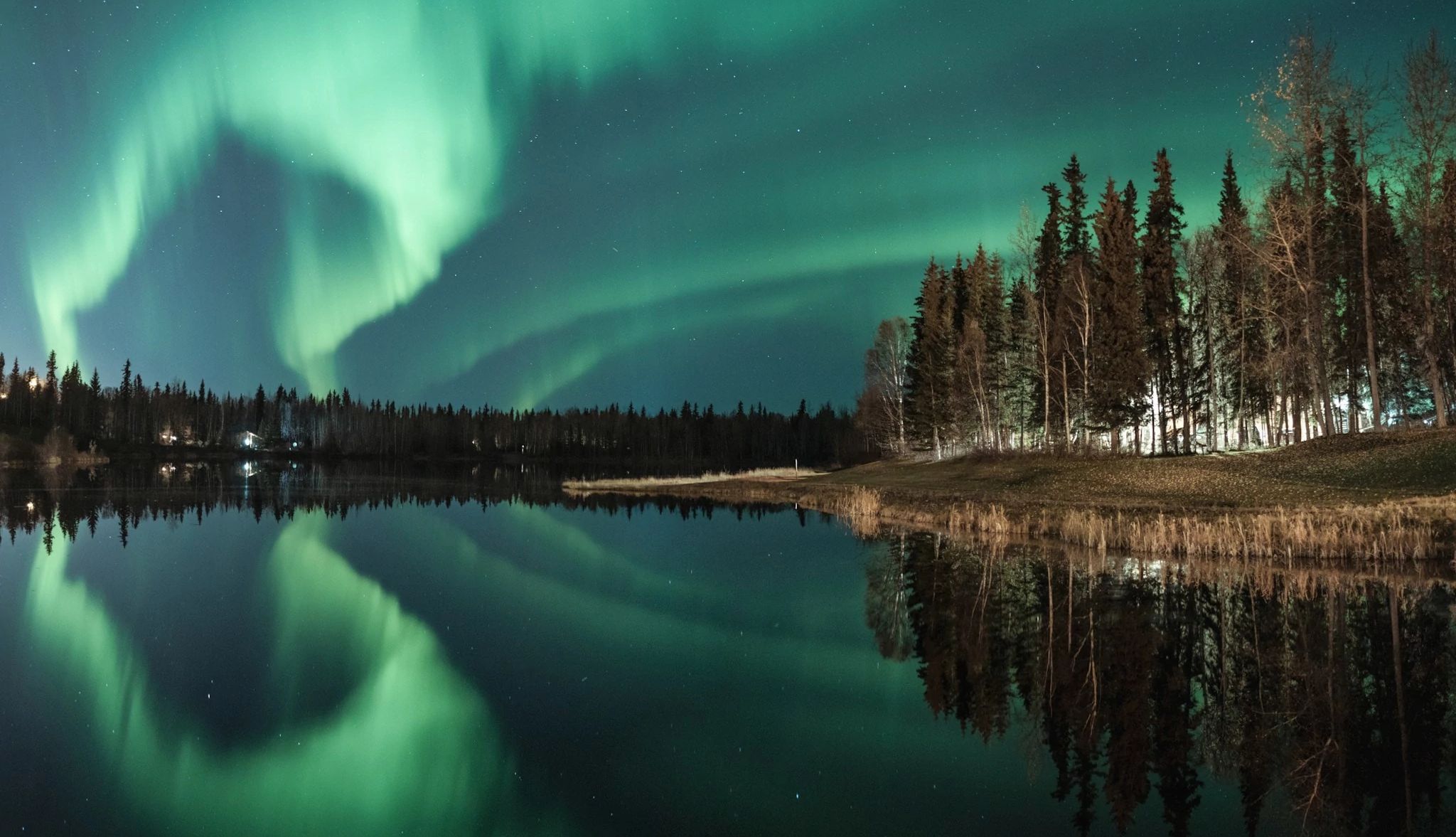 Bucket List Beach Experiences the northern lights reflecting off a body of water near a forst