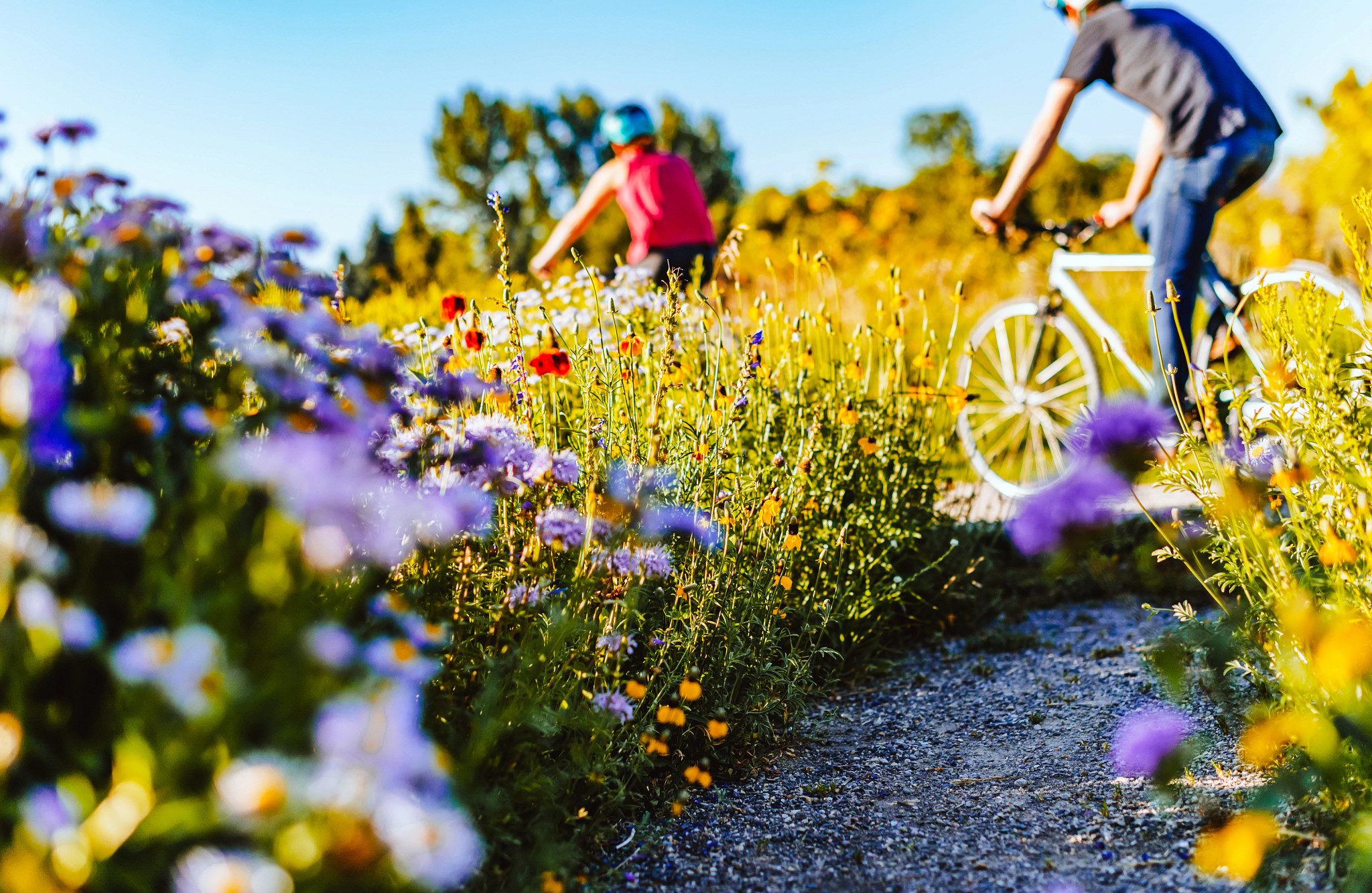 9 Places to See Beautiful Flowers This Spring and Summer
