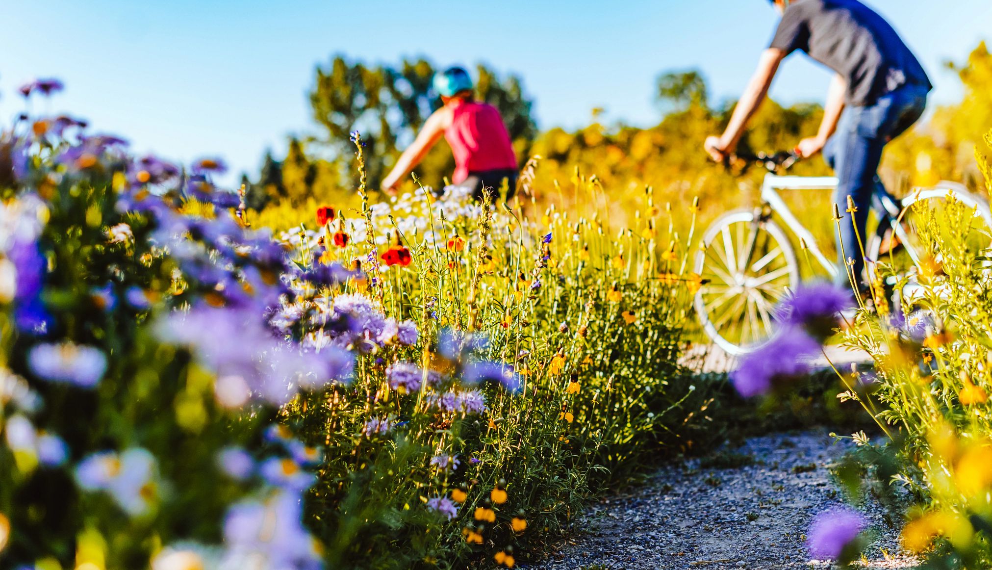 9 Places to See Beautiful Flowers This Spring and Summer